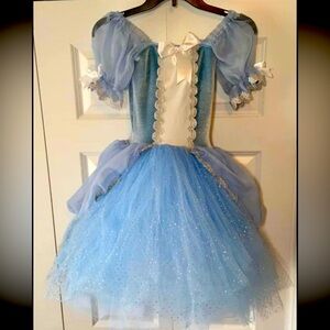 Cinderella Tulle Dress size 8
